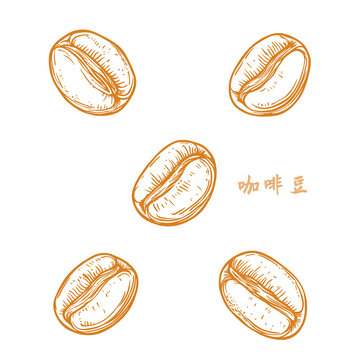 手繪風(fēng)格咖啡豆圖案素材
