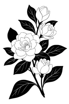 黑白線條勾勒的優(yōu)雅花卉