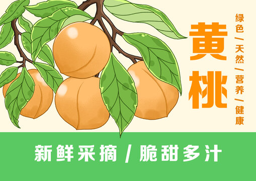 黃桃插畫