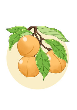 黃桃插畫素材