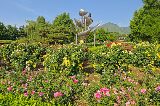 國家植物園月季園