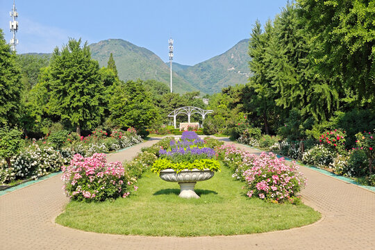 國家植物園月季園