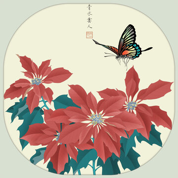 一品紅
