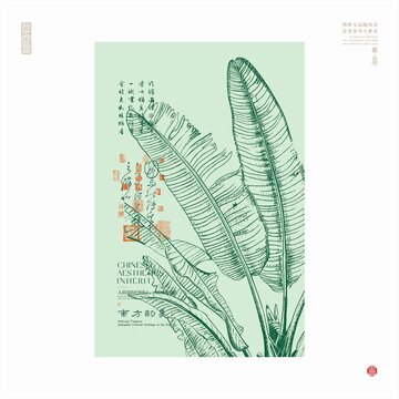 中式風(fēng)芭蕉葉藝術(shù)插畫
