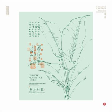 中式芭蕉葉藝術(shù)插畫