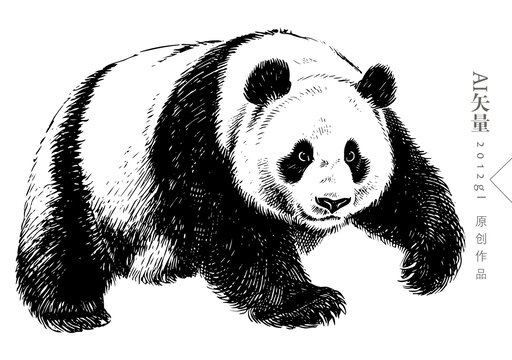 大熊貓鋼筆畫(huà)