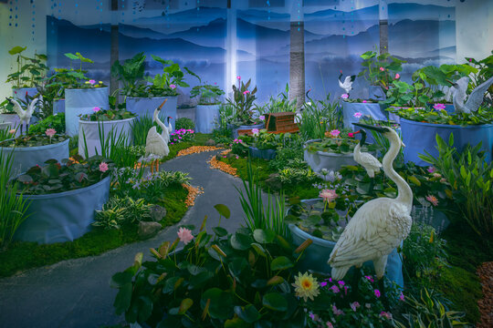 杭州植物園蓮花展
