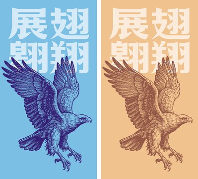 矢量雄鷹