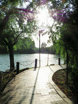 公園小路