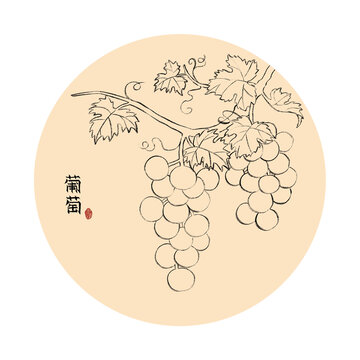 葡萄線稿