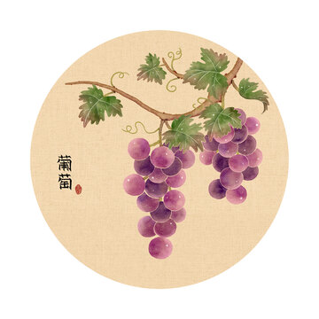 葡萄插畫