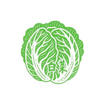手繪簡約綠色白菜圖案