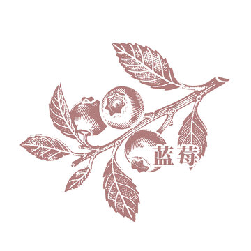 復(fù)古風(fēng)藍(lán)莓枝葉圖案