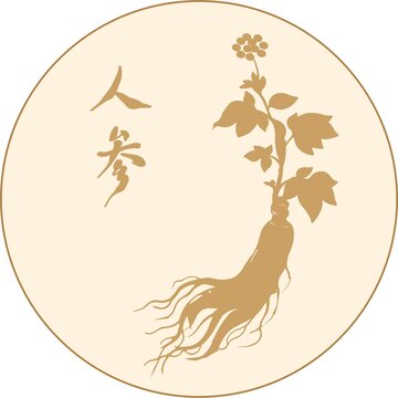 人參植物圖案設(shè)計素材