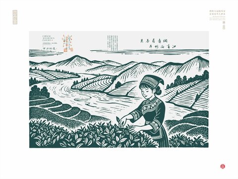 少數(shù)民族女子茶園采茶圖景