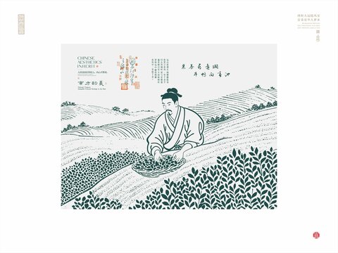 古風(fēng)茶農(nóng)田間采茶圖景
