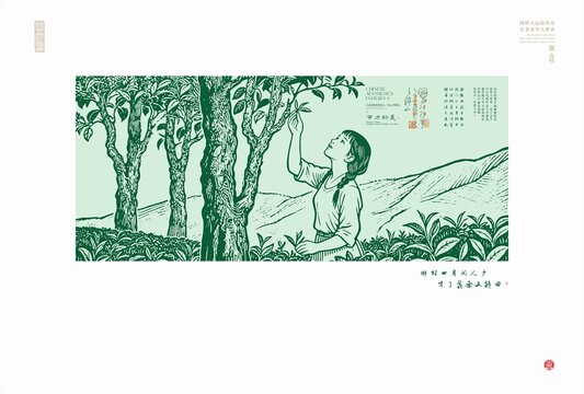少女茶園采摘詩意畫面