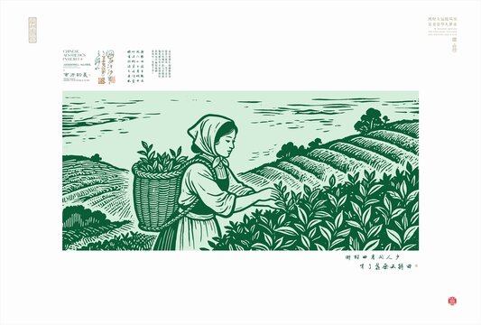 山間采茶女的悠然時光