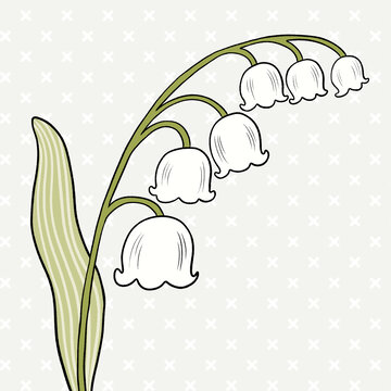手繪清新鈴蘭花插畫(huà)