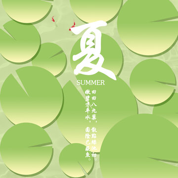 夏日荷葉與詩(shī)意文字畫(huà)面