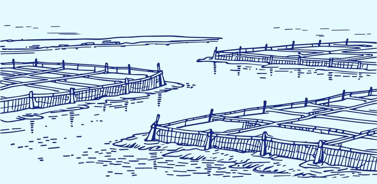 海上水產(chǎn)養(yǎng)殖場(chǎng)景線描圖