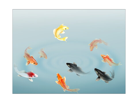 魚