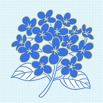 藍(lán)色繡球花插畫圖案