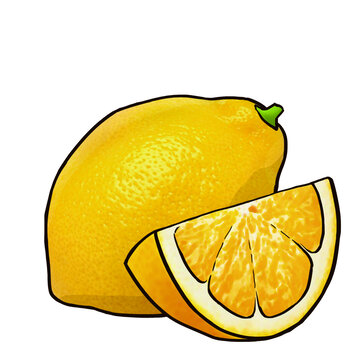 手繪檸檬