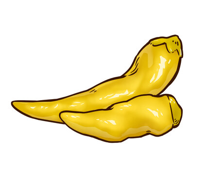 手繪泡椒插畫