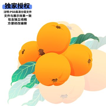 手繪枇杷與綠葉插畫素材