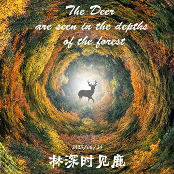 林深之處現(xiàn)優(yōu)雅麋鹿