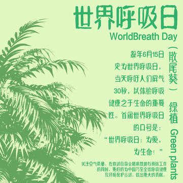 世界呼吸日與綠植宣傳圖