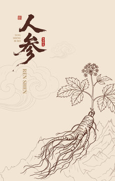 人參包裝