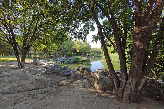 北京奧林匹克森林公園風光