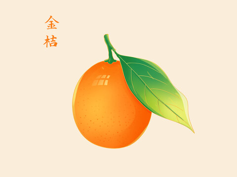 手繪金桔