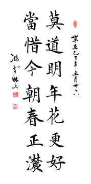 莫道明年花更好當(dāng)惜今朝春正濃書法對聯(lián)