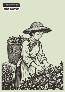 采茶姑娘傳統(tǒng)茶文化元素