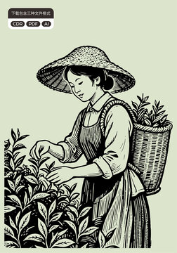 采茶姑娘傳統(tǒng)茶文化元素