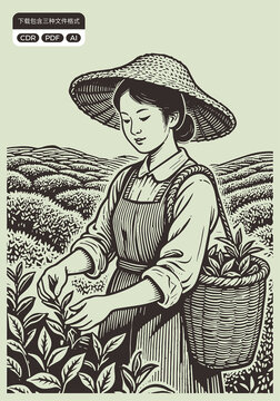 采茶姑娘傳統(tǒng)茶文化元素