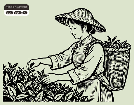 采茶姑娘傳統(tǒng)茶文化元素