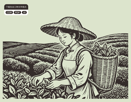 采茶姑娘傳統(tǒng)茶文化元素