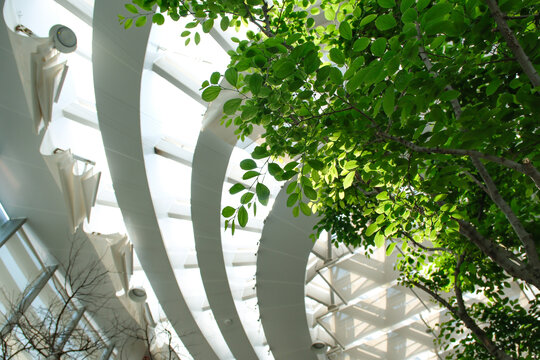福州三江口植物園蘭花溫室蘭花講堂