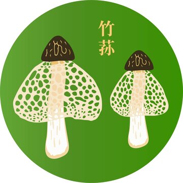 竹蓀圖案