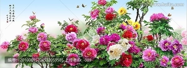 菏澤牡丹