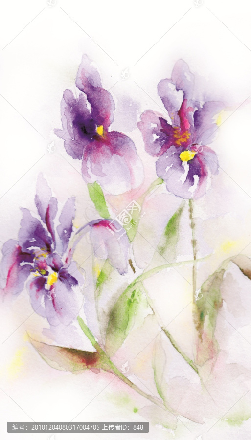 水彩蘭花（未分層）