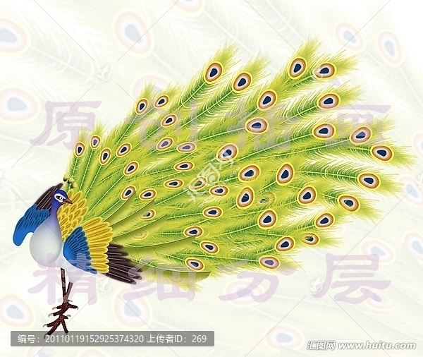 孔雀圖