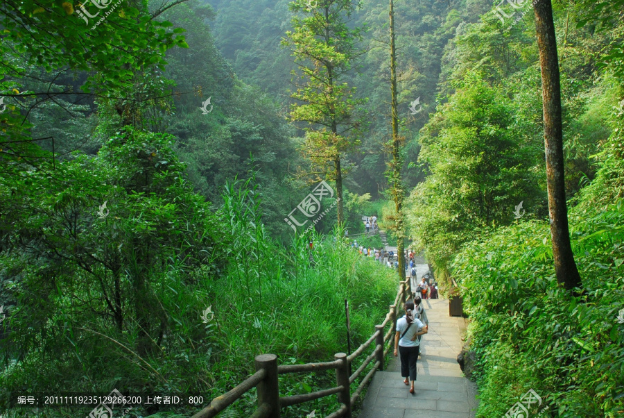 山间小路