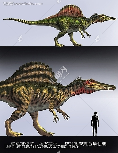 3dmax動(dòng)物模型,棘龍