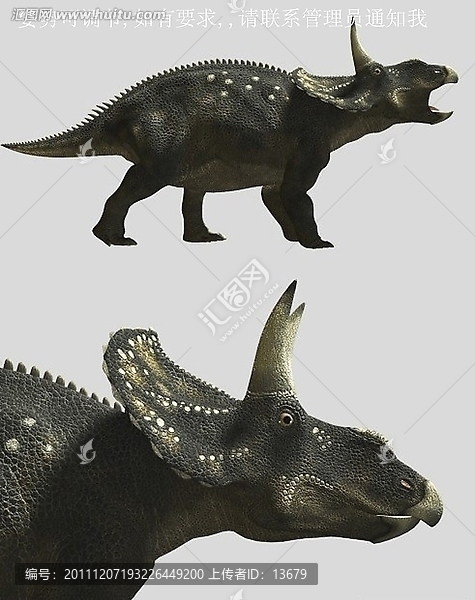 3dmax動(dòng)物模型,雙角龍