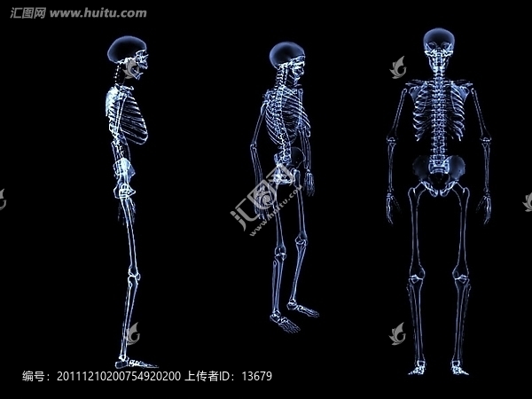 3dmax模型,人體骷髏